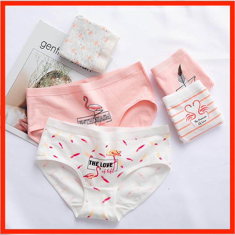 5Pcs/Set Red Cotton Underwear For Women Female Apple Print Panties Breathable Girl Cute Briefs Japanese Shorts Lingerie