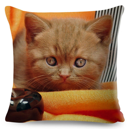 Home Decor British Shorthair Russian Blue Cushion Cover Cute Cat Pet Animal Pillowcase Sofa Polyester Pillowcase 45x45cm