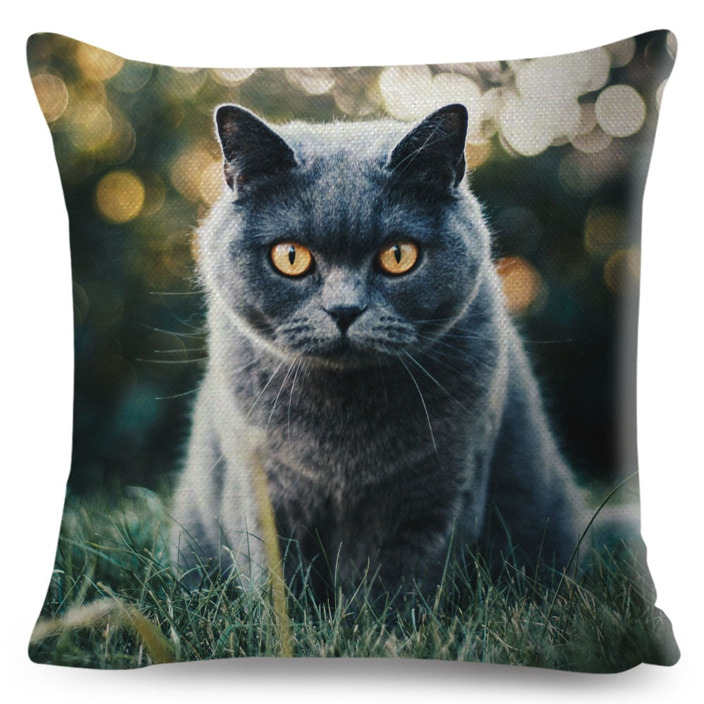 Home Decor British Shorthair Russian Blue Cushion Cover Cute Cat Pet Animal Pillowcase Sofa Polyester Pillowcase 45x45cm