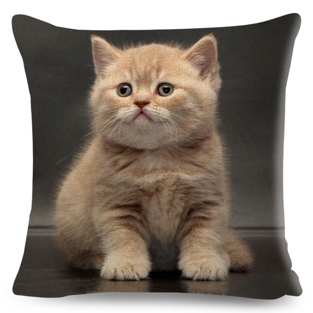 Home Decor British Shorthair Russian Blue Cushion Cover Cute Cat Pet Animal Pillowcase Sofa Polyester Pillowcase 45x45cm