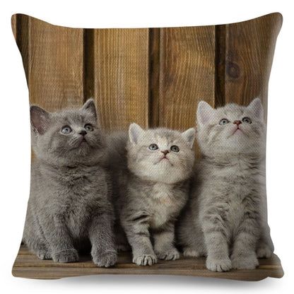 Home Decor British Shorthair Russian Blue Cushion Cover Cute Cat Pet Animal Pillowcase Sofa Polyester Pillowcase 45x45cm