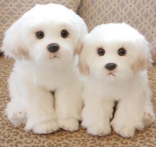 Maltese Stuffed Dog Dolls Plush Toy Cute Simulation Pets Fluffy Baby Birthday Gifts Christmas Children Malzis Puppy Dropshipping