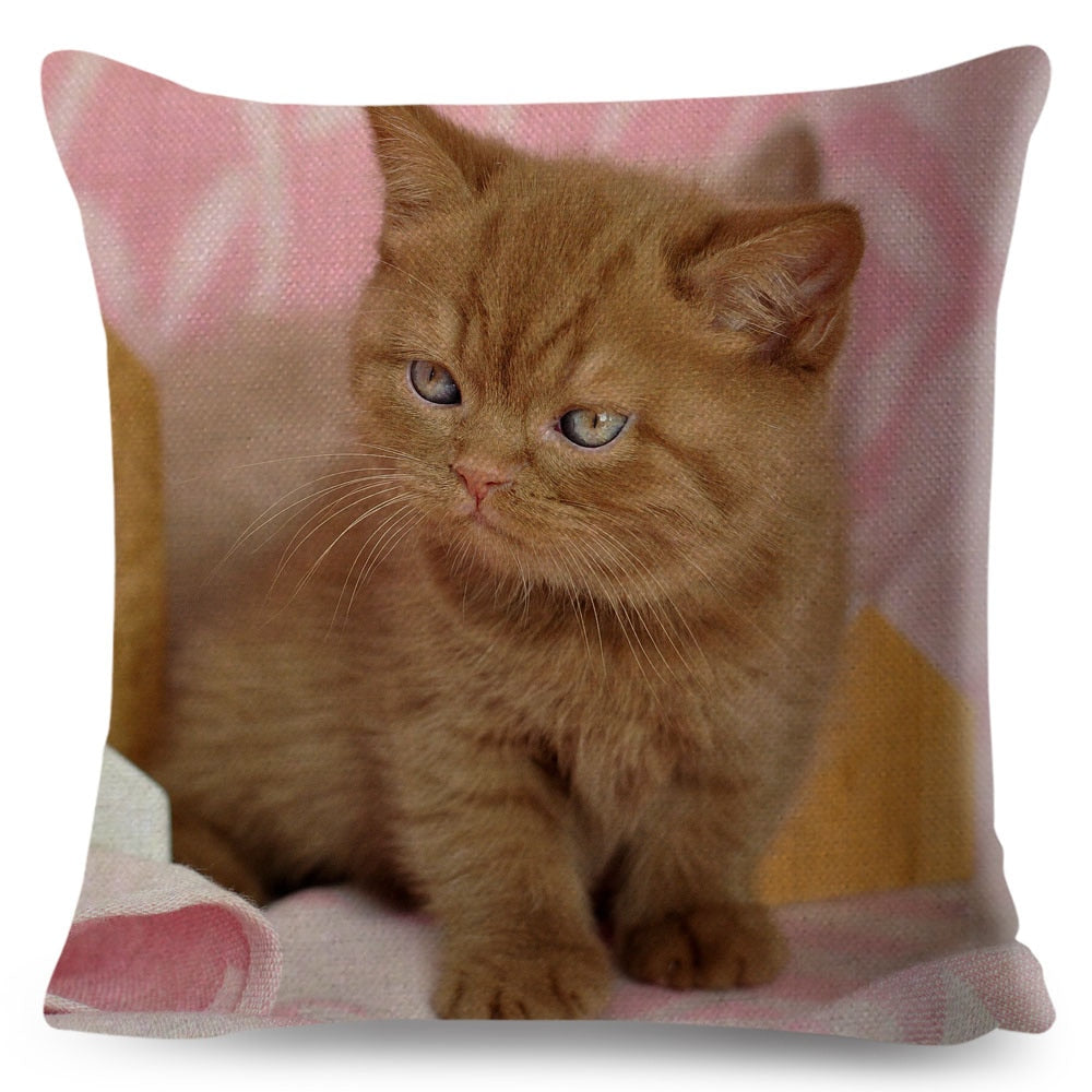 Home Decor British Shorthair Russian Blue Cushion Cover Cute Cat Pet Animal Pillowcase Sofa Polyester Pillowcase 45x45cm