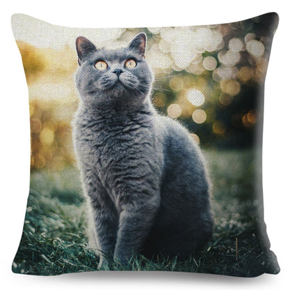 Home Decor British Shorthair Russian Blue Cushion Cover Cute Cat Pet Animal Pillowcase Sofa Polyester Pillowcase 45x45cm