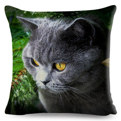 Home Decor British Shorthair Russian Blue Cushion Cover Cute Cat Pet Animal Pillowcase Sofa Polyester Pillowcase 45x45cm