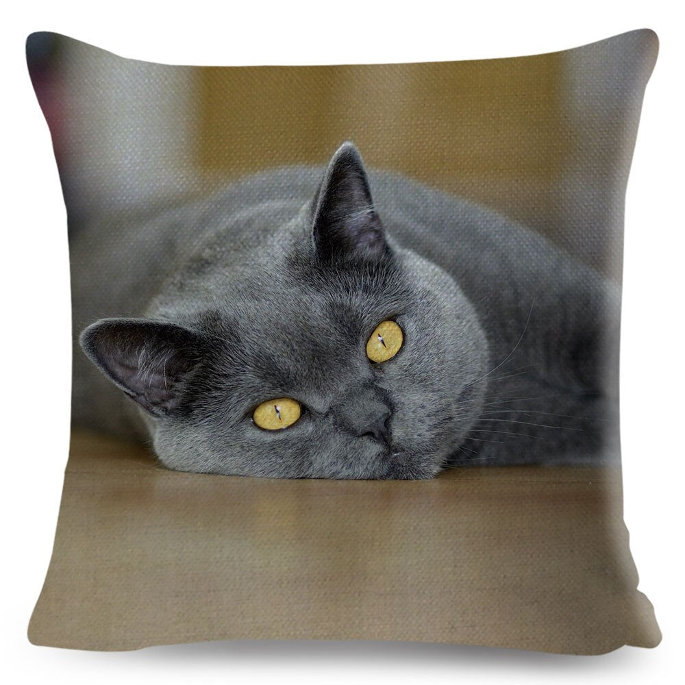 Home Decor British Shorthair Russian Blue Cushion Cover Cute Cat Pet Animal Pillowcase Sofa Polyester Pillowcase 45x45cm