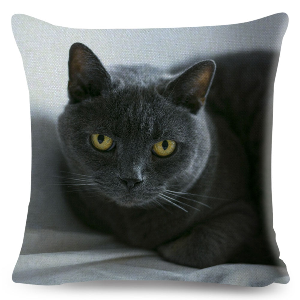 Home Decor British Shorthair Russian Blue Cushion Cover Cute Cat Pet Animal Pillowcase Sofa Polyester Pillowcase 45x45cm