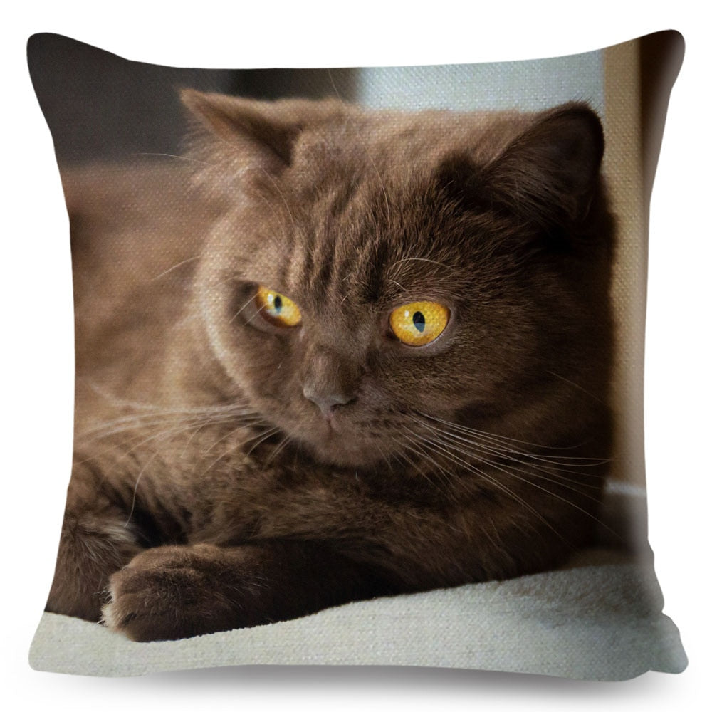 Home Decor British Shorthair Russian Blue Cushion Cover Cute Cat Pet Animal Pillowcase Sofa Polyester Pillowcase 45x45cm