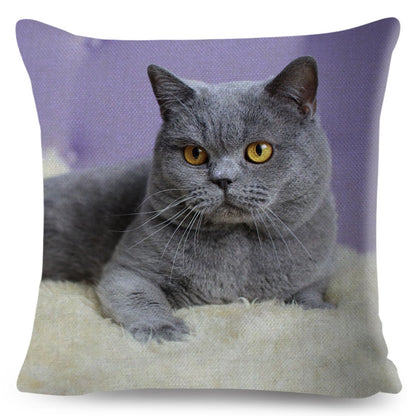 Home Decor British Shorthair Russian Blue Cushion Cover Cute Cat Pet Animal Pillowcase Sofa Polyester Pillowcase 45x45cm