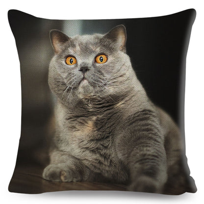 Home Decor British Shorthair Russian Blue Cushion Cover Cute Cat Pet Animal Pillowcase Sofa Polyester Pillowcase 45x45cm