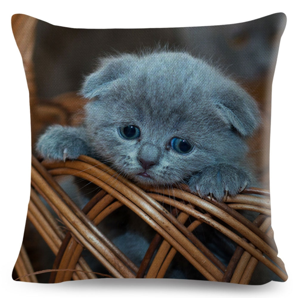 Home Decor British Shorthair Russian Blue Cushion Cover Cute Cat Pet Animal Pillowcase Sofa Polyester Pillowcase 45x45cm