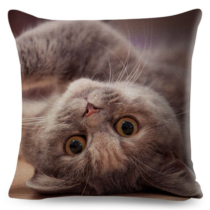 Home Decor British Shorthair Russian Blue Cushion Cover Cute Cat Pet Animal Pillowcase Sofa Polyester Pillowcase 45x45cm