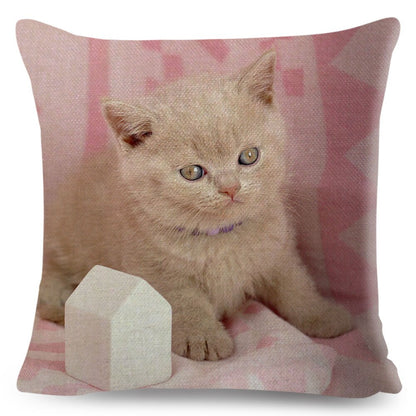 Home Decor British Shorthair Russian Blue Cushion Cover Cute Cat Pet Animal Pillowcase Sofa Polyester Pillowcase 45x45cm