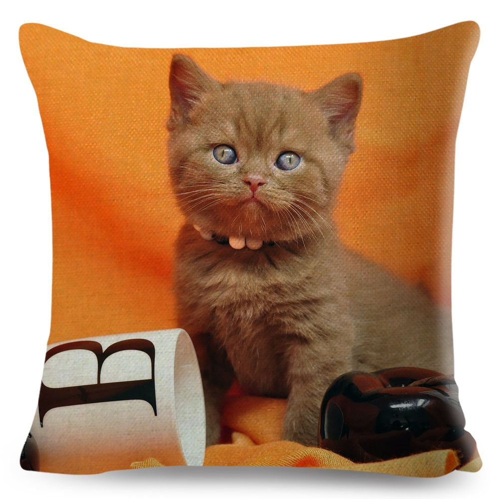 Home Decor British Shorthair Russian Blue Cushion Cover Cute Cat Pet Animal Pillowcase Sofa Polyester Pillowcase 45x45cm