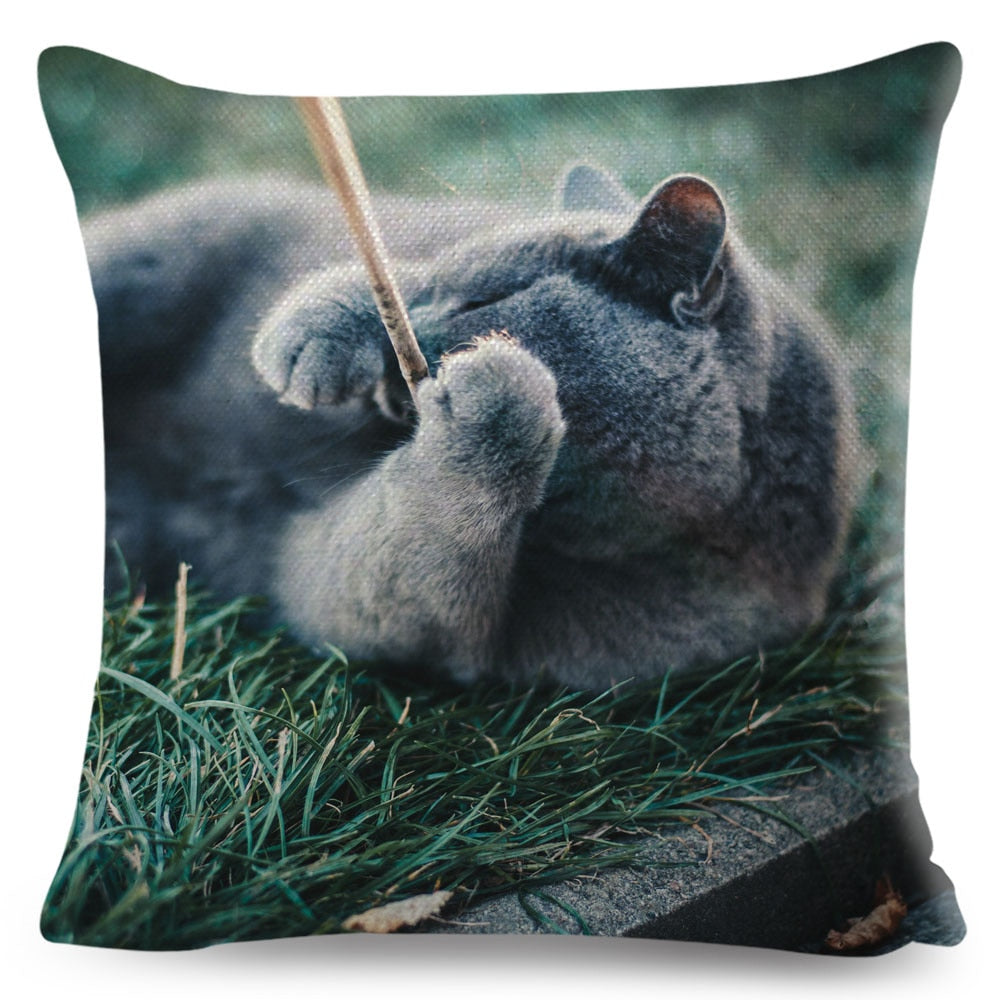 Home Decor British Shorthair Russian Blue Cushion Cover Cute Cat Pet Animal Pillowcase Sofa Polyester Pillowcase 45x45cm