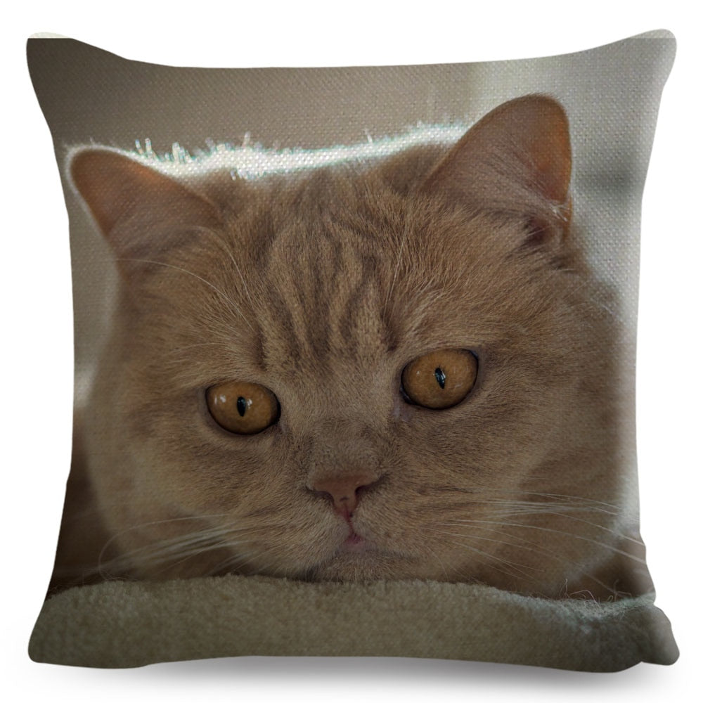 Home Decor British Shorthair Russian Blue Cushion Cover Cute Cat Pet Animal Pillowcase Sofa Polyester Pillowcase 45x45cm