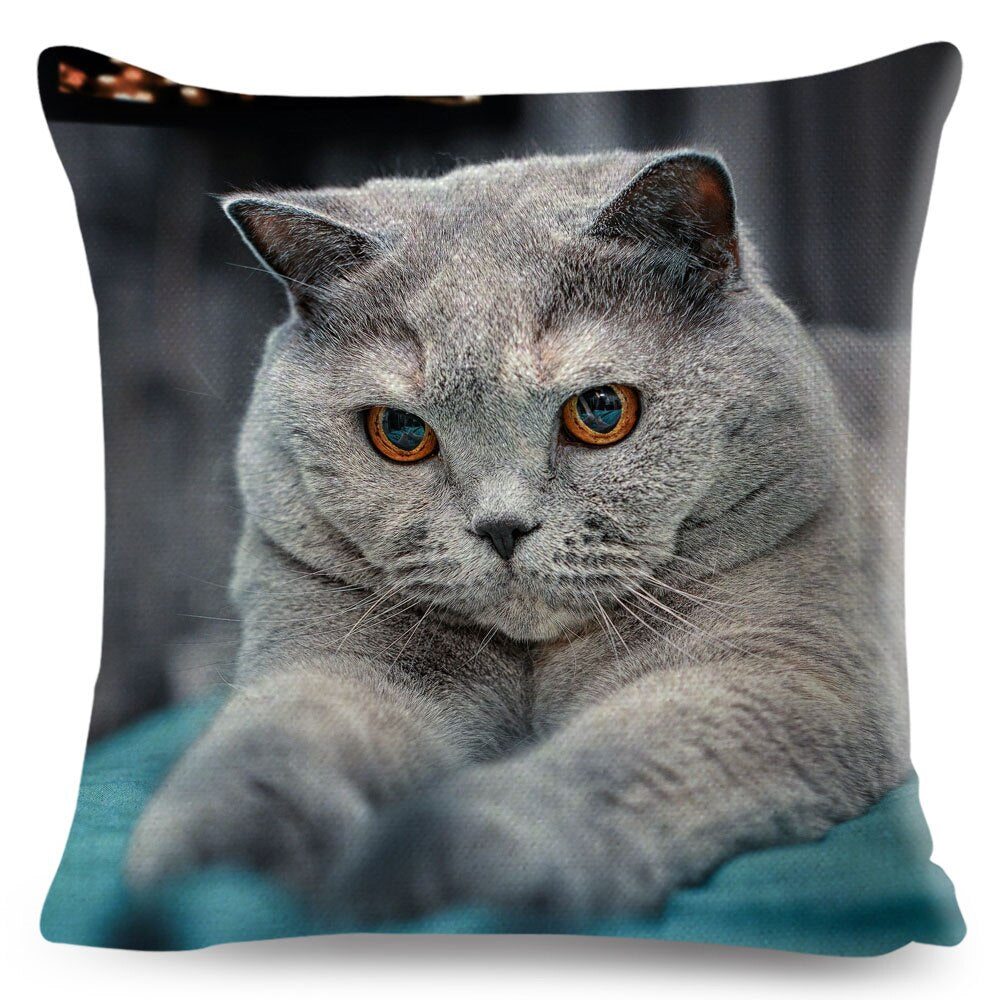 Home Decor British Shorthair Russian Blue Cushion Cover Cute Cat Pet Animal Pillowcase Sofa Polyester Pillowcase 45x45cm