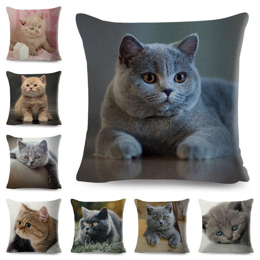 Home Decor British Shorthair Russian Blue Cushion Cover Cute Cat Pet Animal Pillowcase Sofa Polyester Pillowcase 45x45cm